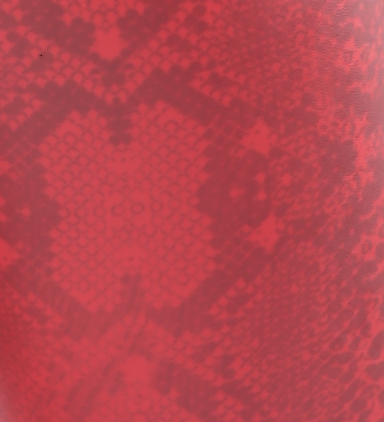 Snake red Snake red