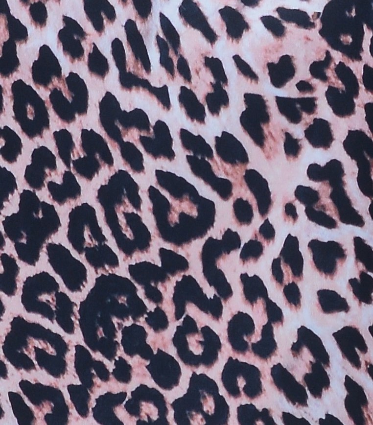 Leopard Leopard