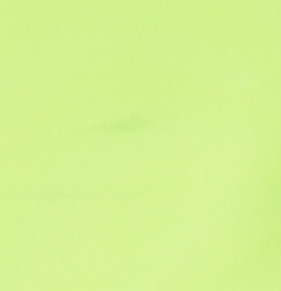 Amarillo Neon Amarillo Neon