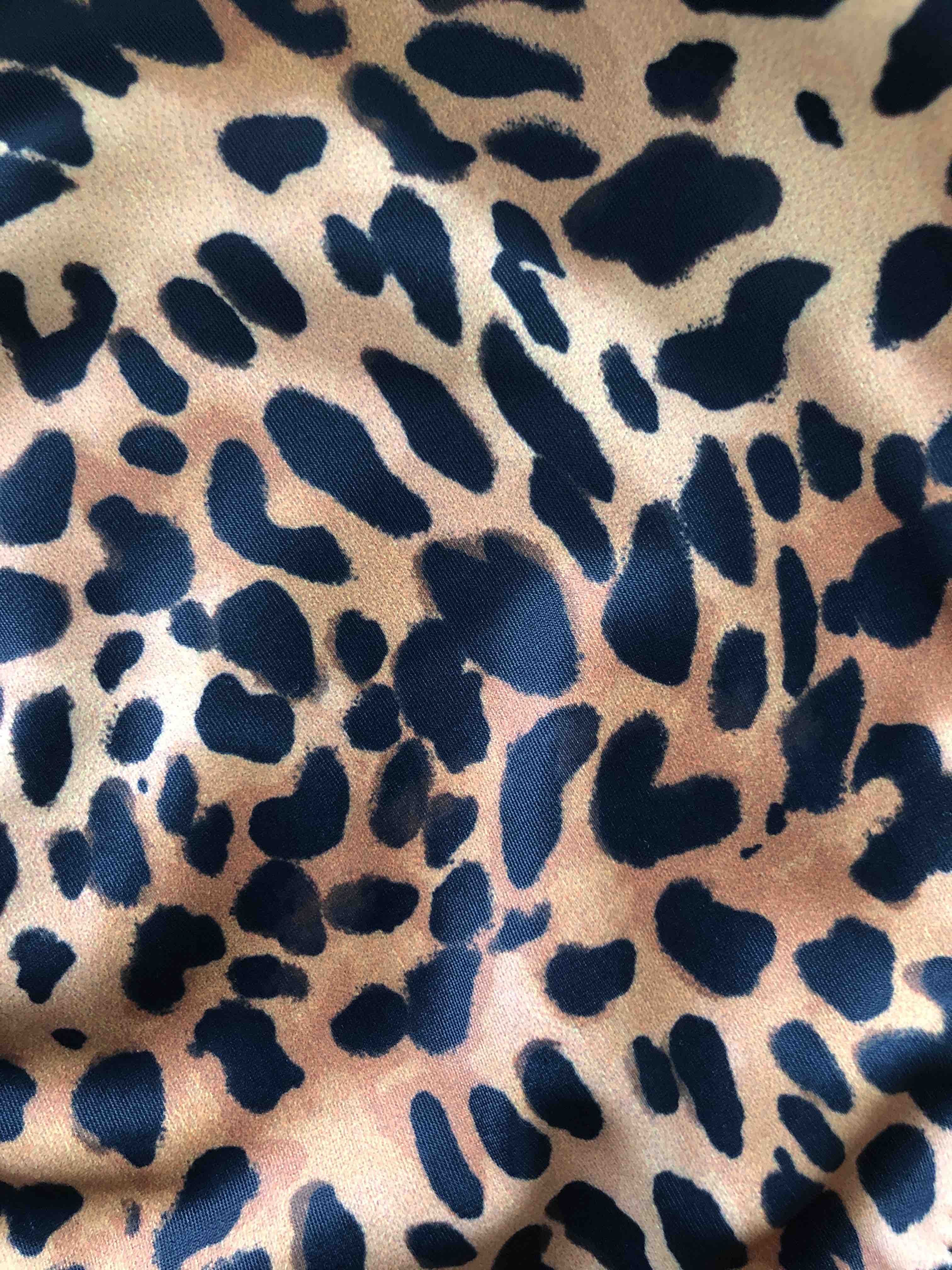 Leopardo 2 Leopardo 2