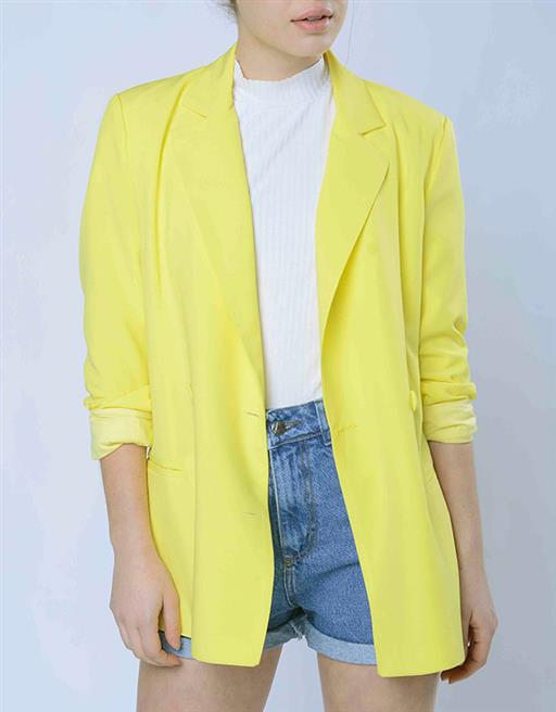 Blazer Pantone